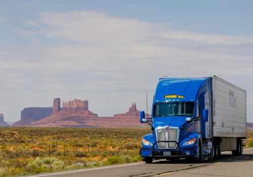 pexels-igor-passchier-111147847-27508769